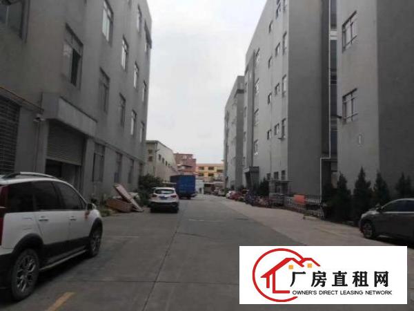  大岭山即将空出1楼2600平方高度21米2楼精装办公室500