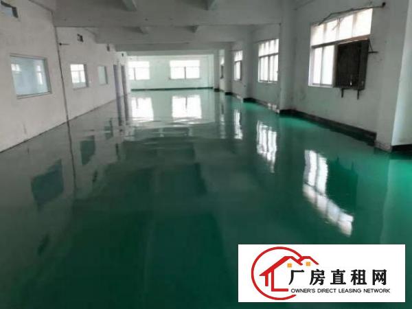  大岭山镇鸡翅岭650平方厂房出租，价格便宜