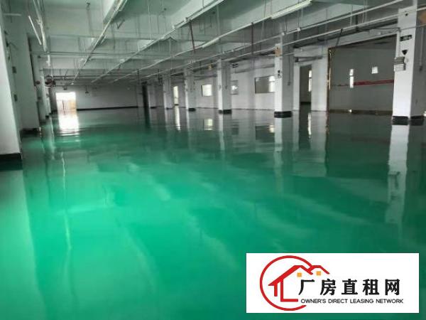  大岭山镇鸡翅岭650平方厂房出租，价格便宜