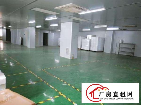  大岭山杨屋村厂房分租