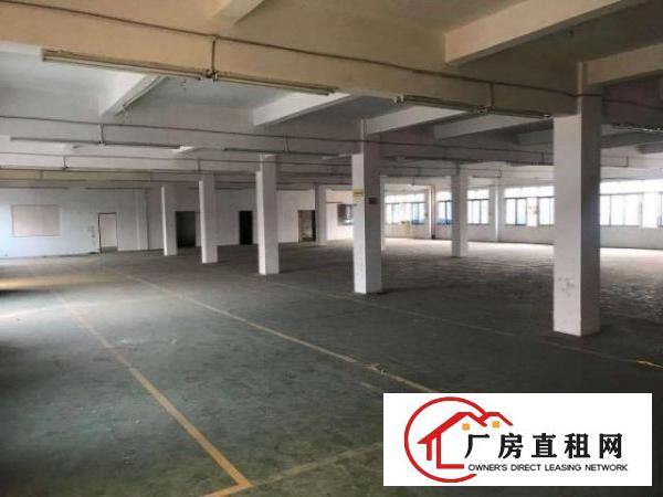  带装修厂房原房东空地大，水电齐全