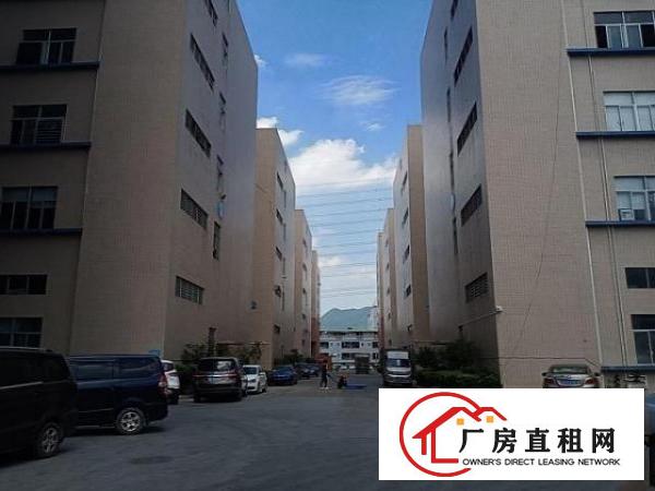  大岭山新空出厂房楼上3500平方，可分租，价格好谈。