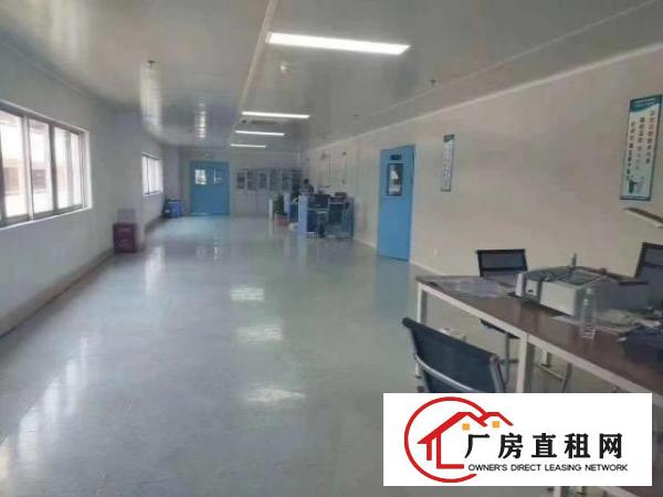 大岭山5000平方无尘车间厂房出租