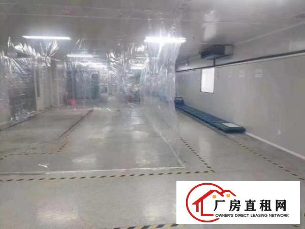  大岭山5000平方无尘车间厂房出租