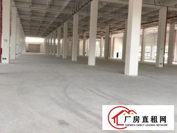  大岭山107国道旁30000平米厂房带卸货台，20台拖头卸货