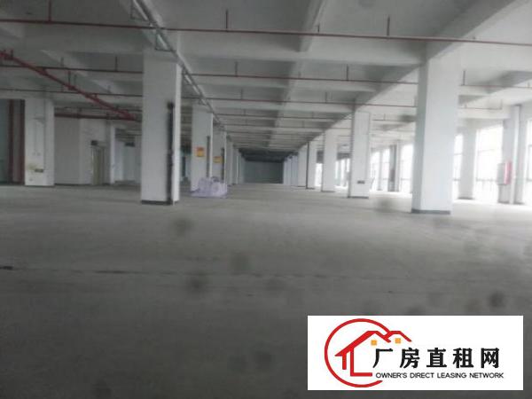  大岭山工业厂房3700平方出租