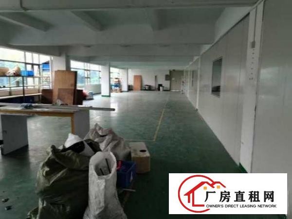  出租大岭山镇鸡翅岭独门独院标准厂房