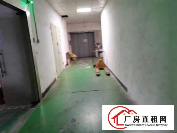  出租大岭山镇鸡翅岭独门独院标准厂房