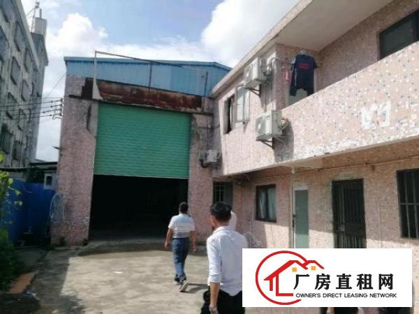  大岭山原房东独门独院厂房出租