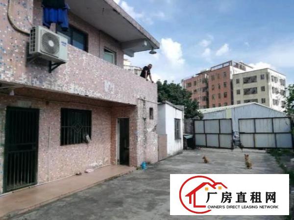  大岭山原房东独门独院厂房出租