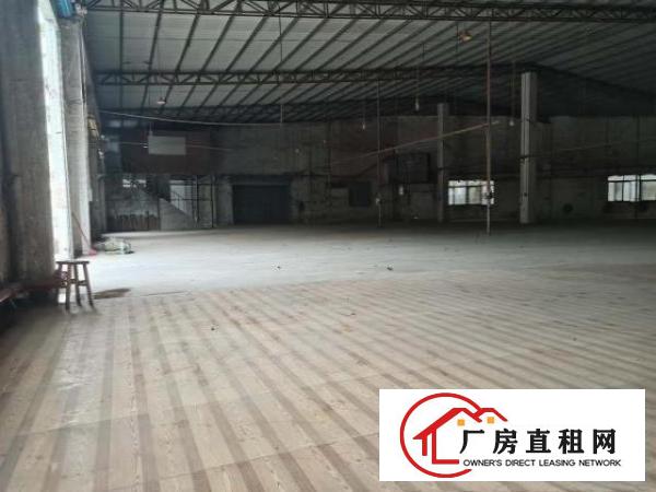  大岭山杨屋原房东独门独院厂房出租