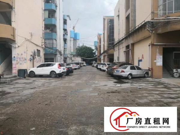  大岭山工业园内新空出3楼厂房300平方，可以小污染！