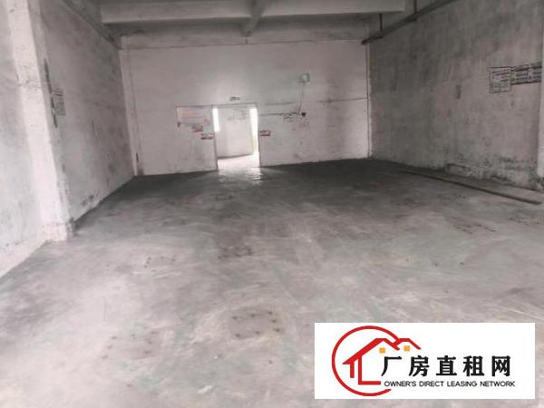  大岭山工业园内新空出3楼厂房300平方，可以小污染！