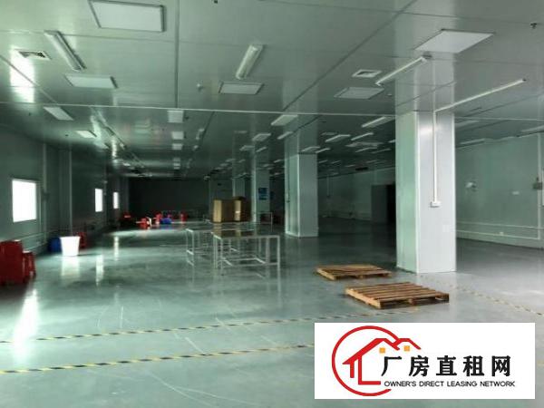  大岭山镇工业园区楼上无尘车间精装修办公室无转让费