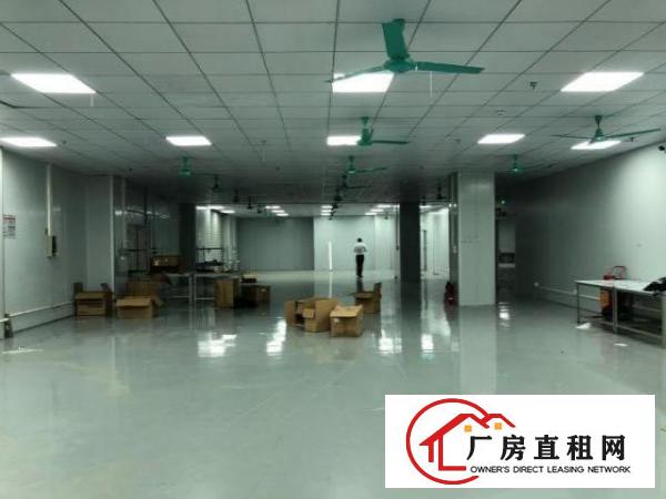  大岭山镇工业园区楼上无尘车间精装修办公室无转让费