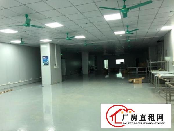  大岭山镇工业园区楼上无尘车间精装修办公室无转让费