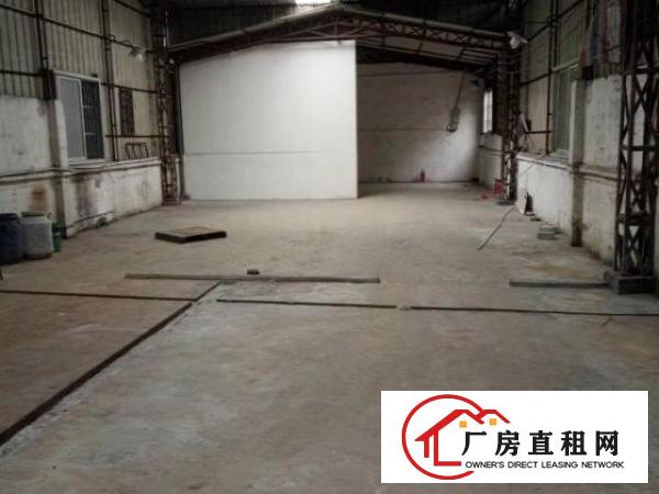  大岭山杨屋村联丰巷独院铁皮房