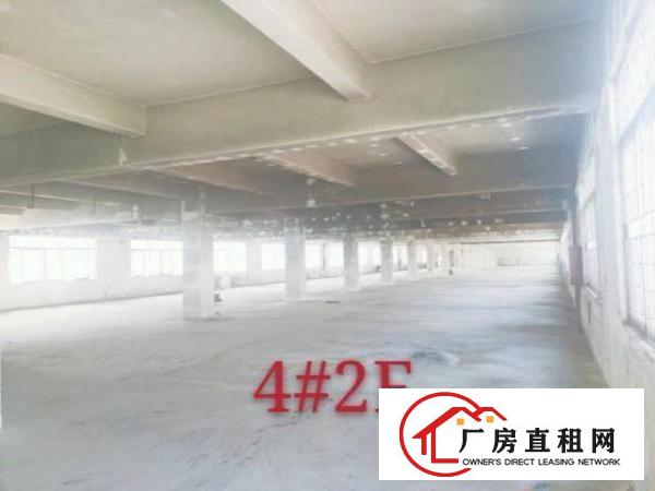  信立对面，莞长路旁，旺铺招租