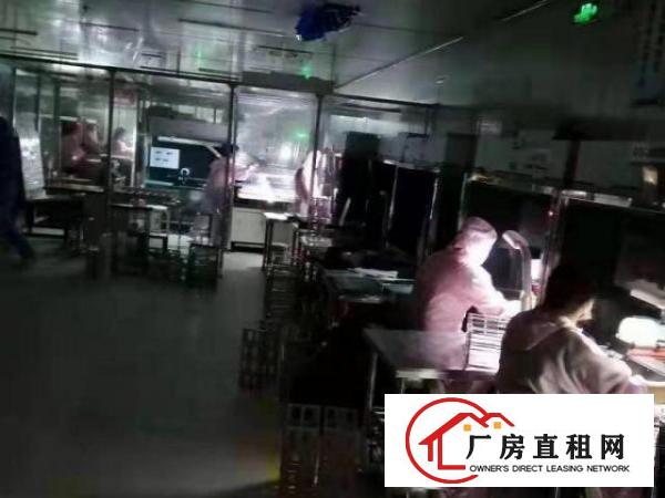  大岭山园区无尘车间厂房1500平米