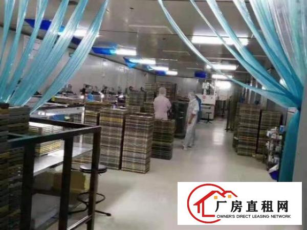  大岭山园区无尘车间厂房1500平米