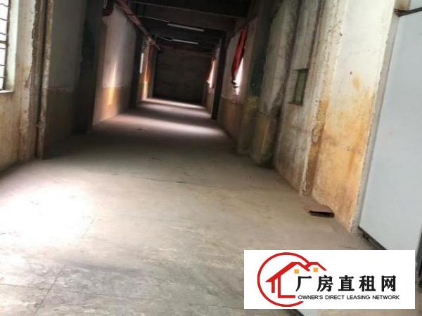  房东一手厂房出租有意者可直接致电