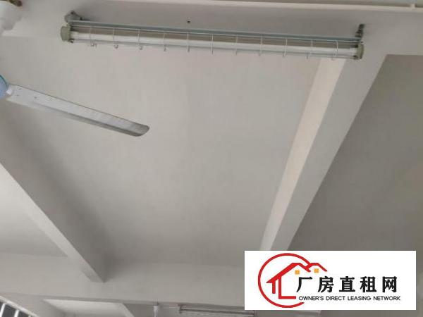  出租大岭山杨屋工业区厂房出租