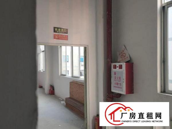  出租大岭山杨屋工业区厂房出租
