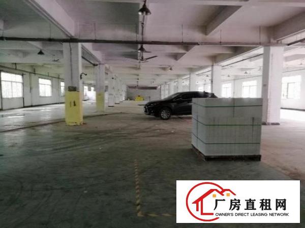  高速路口花园式厂房出租，可办理环评，