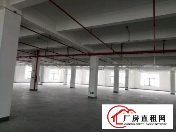  高速旁全新环评厂房出租
