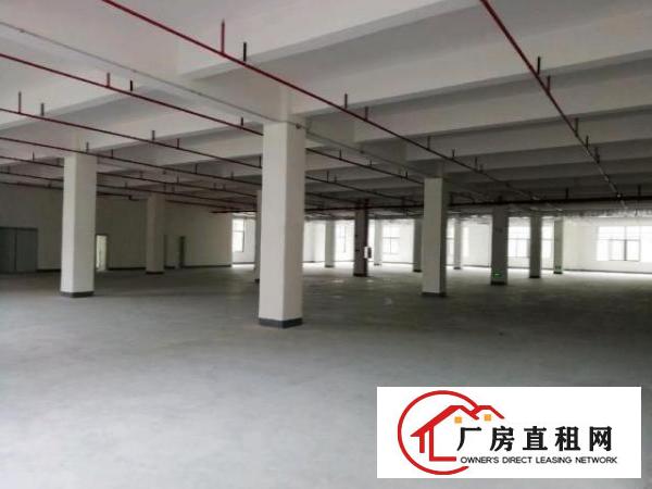  高速旁全新环评厂房出租