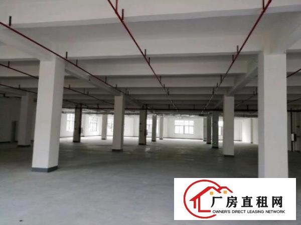  高速旁全新环评厂房出租