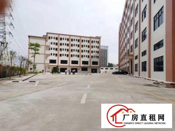  大岭山工业区全新原房东厂房出租