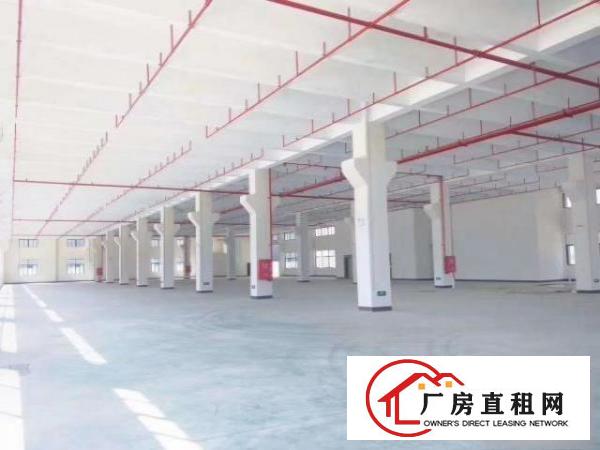  大岭山工业区全新原房东厂房出租