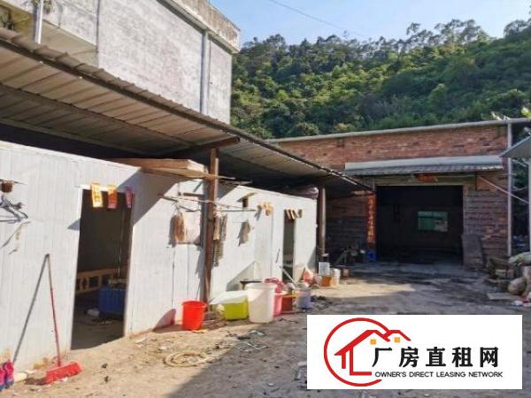  荔枝园小独院厂房出租（可做污染行业）650平