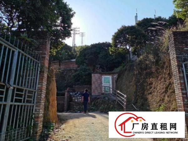  荔枝园小独院厂房出租（可做污染行业）650平