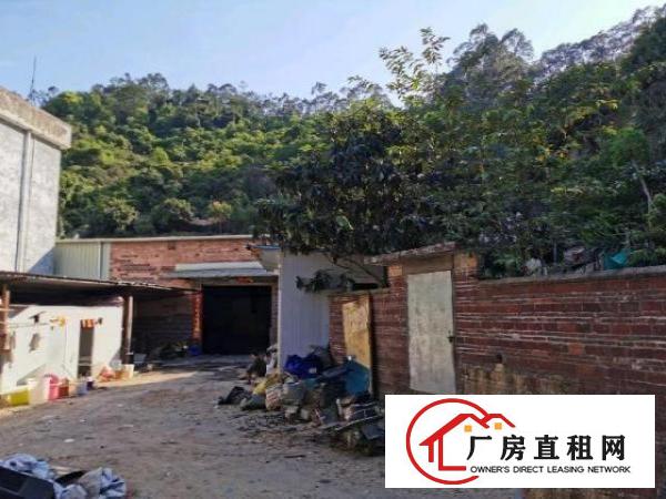  荔枝园小独院厂房出租（可做污染行业）650平