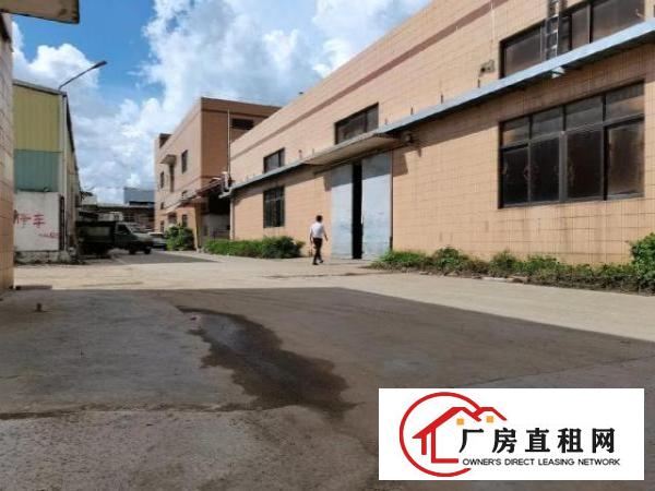  新出标准厂房，，，，