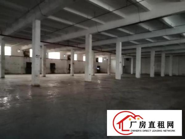  新出标准厂房，，，，