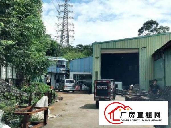  大岭山镇颜屋107国道独院厂房出租1500平