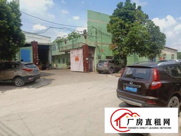  大岭山镇杨屋经典独院厂房出租2900平