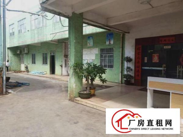 大岭山镇杨屋经典独院厂房出租2900平