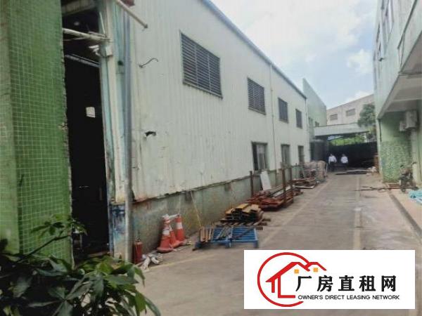  大岭山镇杨屋经典独院厂房出租2900平