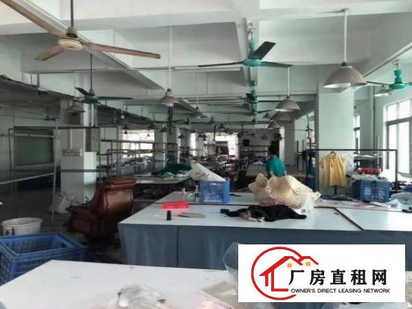  大岭山镇杨屋800平方厂房出租，价格便宜，可分割