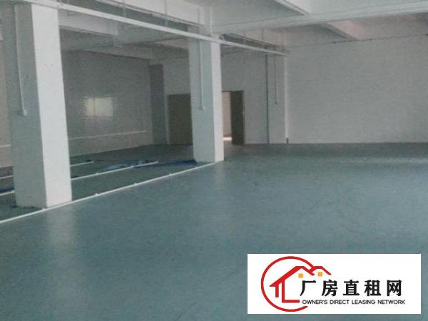  公司厂房直租，分租整租都可