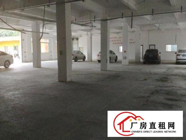  公司厂房直租，分租整租都可