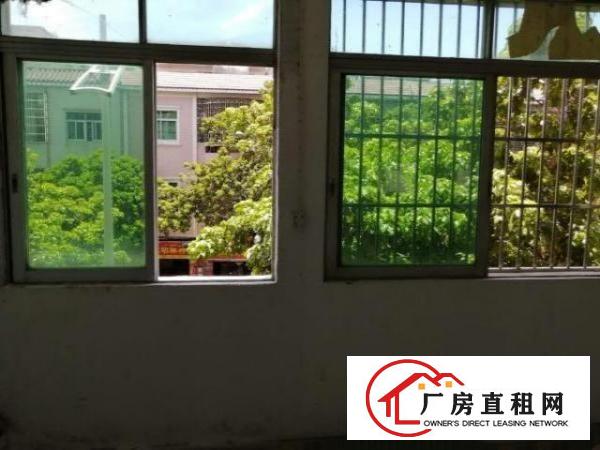  镇区街道边（中兴路207号创客大厦）二楼