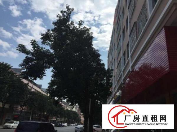  镇区街道边（中兴路207号创客大厦）二楼