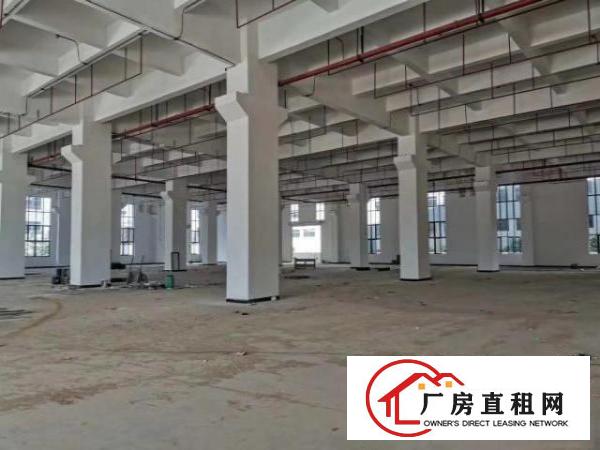  大岭山靠进高速路口全新重工业厂房招租