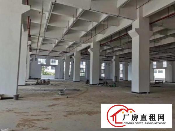  大岭山靠进高速路口全新重工业厂房招租