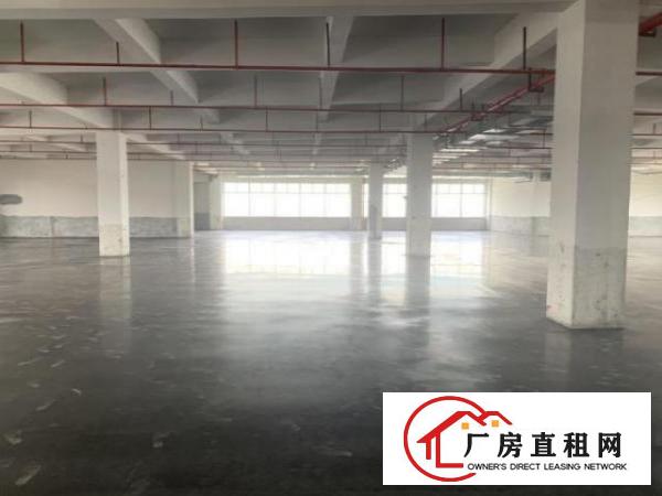  大岭山新建大型工业园出租